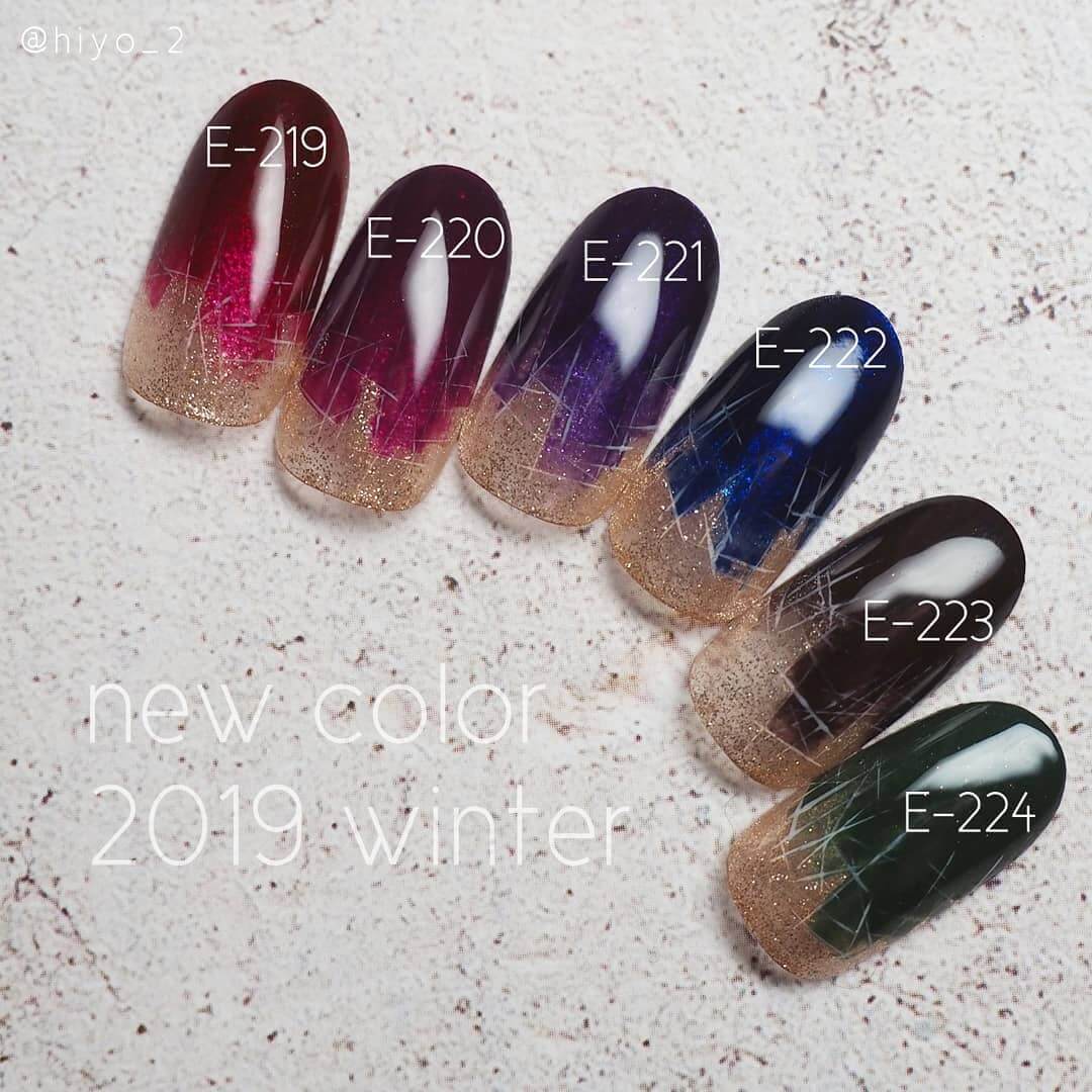 Kokoist Color Gel- E-219 Midnight Burgundy