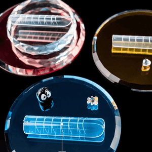 ShockMe! Dual Forms - Salon Square