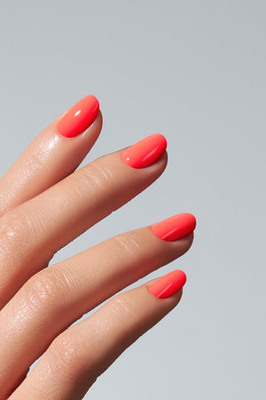 American Creator Color Gel - Foreplay