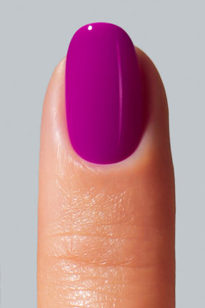 American Creator Color Gel - Screech