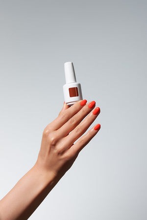 American Creator Color Gel - Charlotte