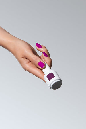 American Creator Color Gel - Screech
