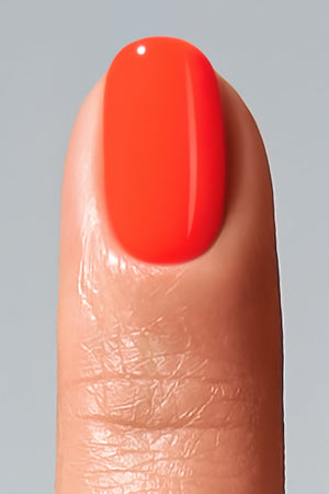American Creator Color Gel - Explosion