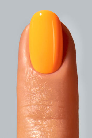 American Creator Color Gel - Fox