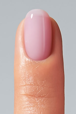 American Creator Color Gel - Squid