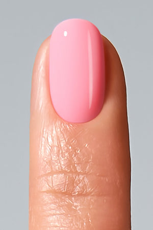 American Creator Color Gel - Voluntary