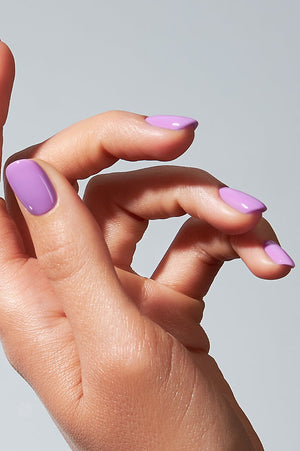 American Creator Color Gel - Timidity