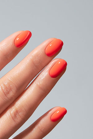 American Creator Color Gel - Coral