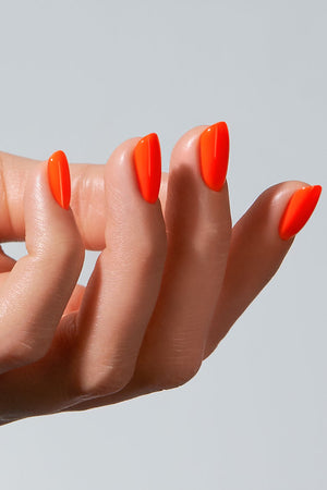 American Creator Color Gel - Sunset