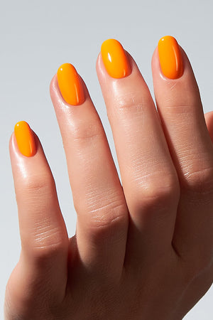 American Creator Color Gel - Wrangler