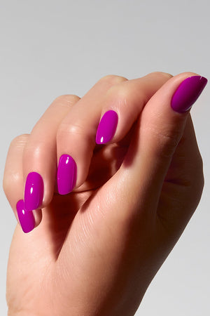 American Creator Color Gel - Screech