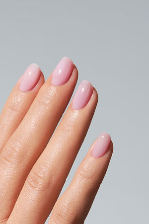 American Creator Color Gel - Squid