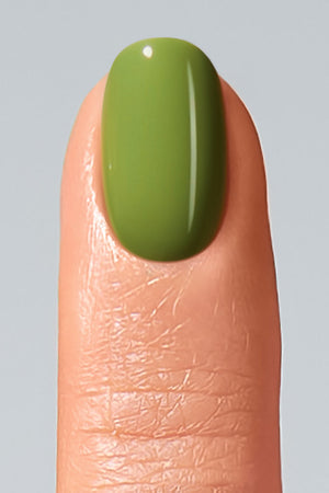 American Creator Color Gel - Swamp
