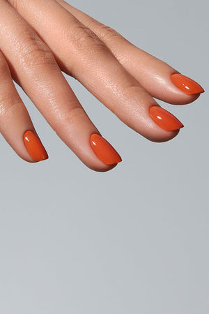 American Creator Color Gel - Colorado