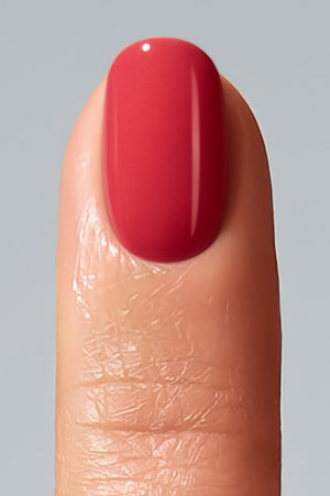 American Creator Color Gel - Aviso
