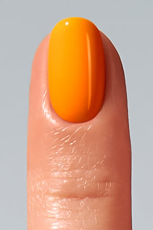 American Creator Color Gel - Wrangler