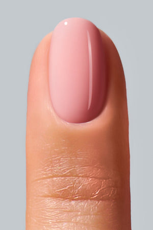 American Creator Color Gel - Fiorentia