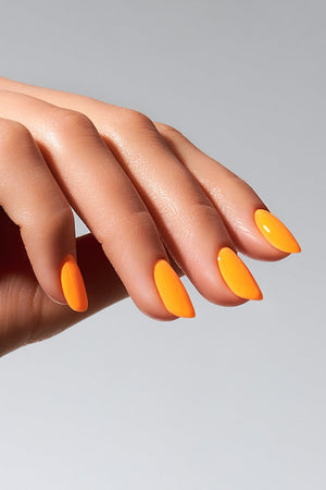 American Creator Color Gel - Fox