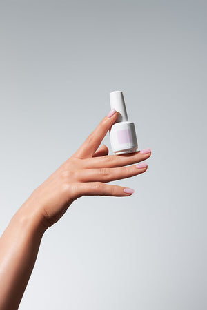 American Creator Color Gel - Squid