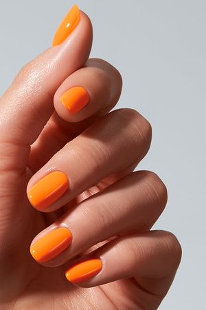 American Creator Color Gel - Prairie