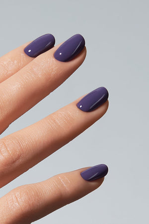American Creator Color Gel - Cavalier