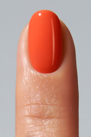 American Creator Color Gel - Charlotte