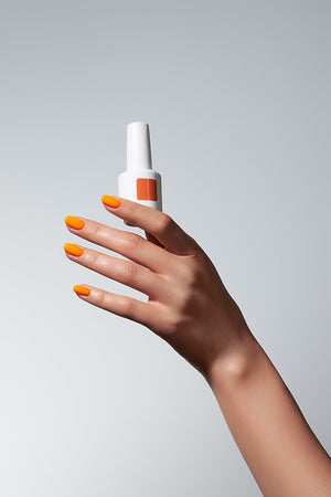 American Creator Color Gel - Wrangler