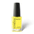 Kinetics SOLARGEL #568 THE BEST ZEST