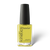 Kinetics SOLARGEL #613 REJOICE