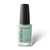 Kinetics SOLARGEL #641 SHIFT