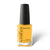 Kinetics SOLARGEL #651 SOL