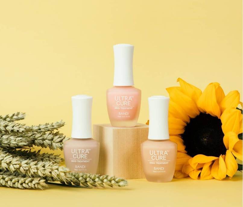 Bandi Ultra Cure CC Pink