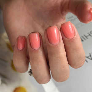 The Best Nails USA Builder Gel - VENICE