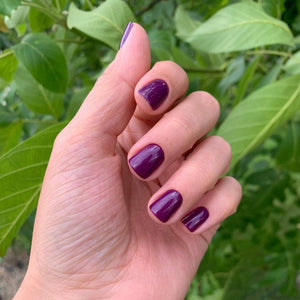 The Best Nails USA Gel Polish- BLACKBERRY