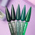 DNKa™ GEL POLISH COLOR #0060 12ml