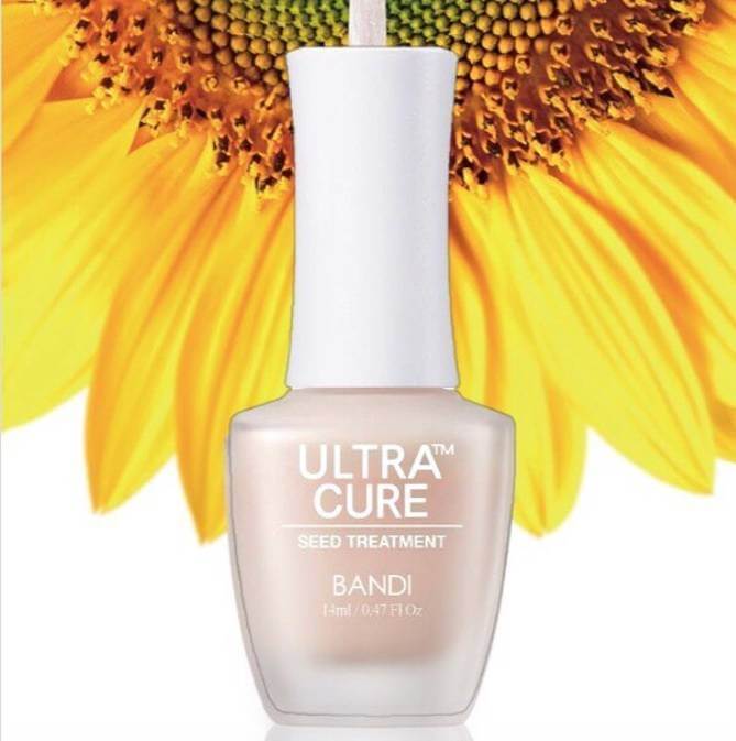 Bandi Ultra Cure BB Cover