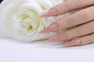 Red Iguana/RÉDI Professional Neutral Pink Builder Gel