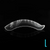 Dual Forms Imenka - Combo Pack of 7 (Almond, Arched Almond, Arched Square, Short Square, M, L, XL)