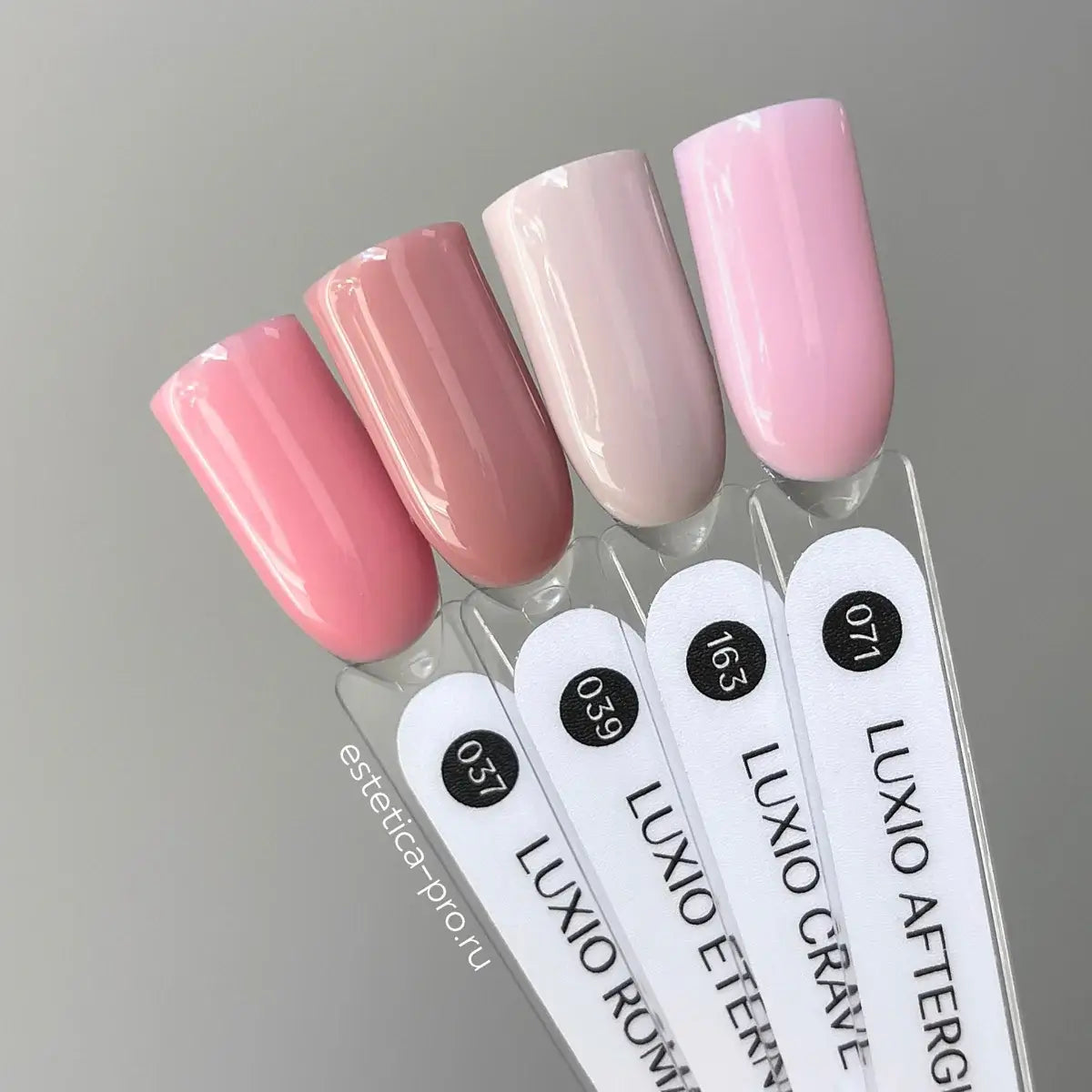 LUXIO by AKZENTZ- Crave