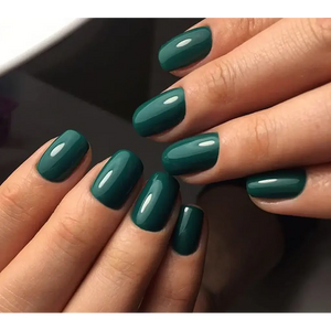 LUXIO by AKZENTZ- Intuitive