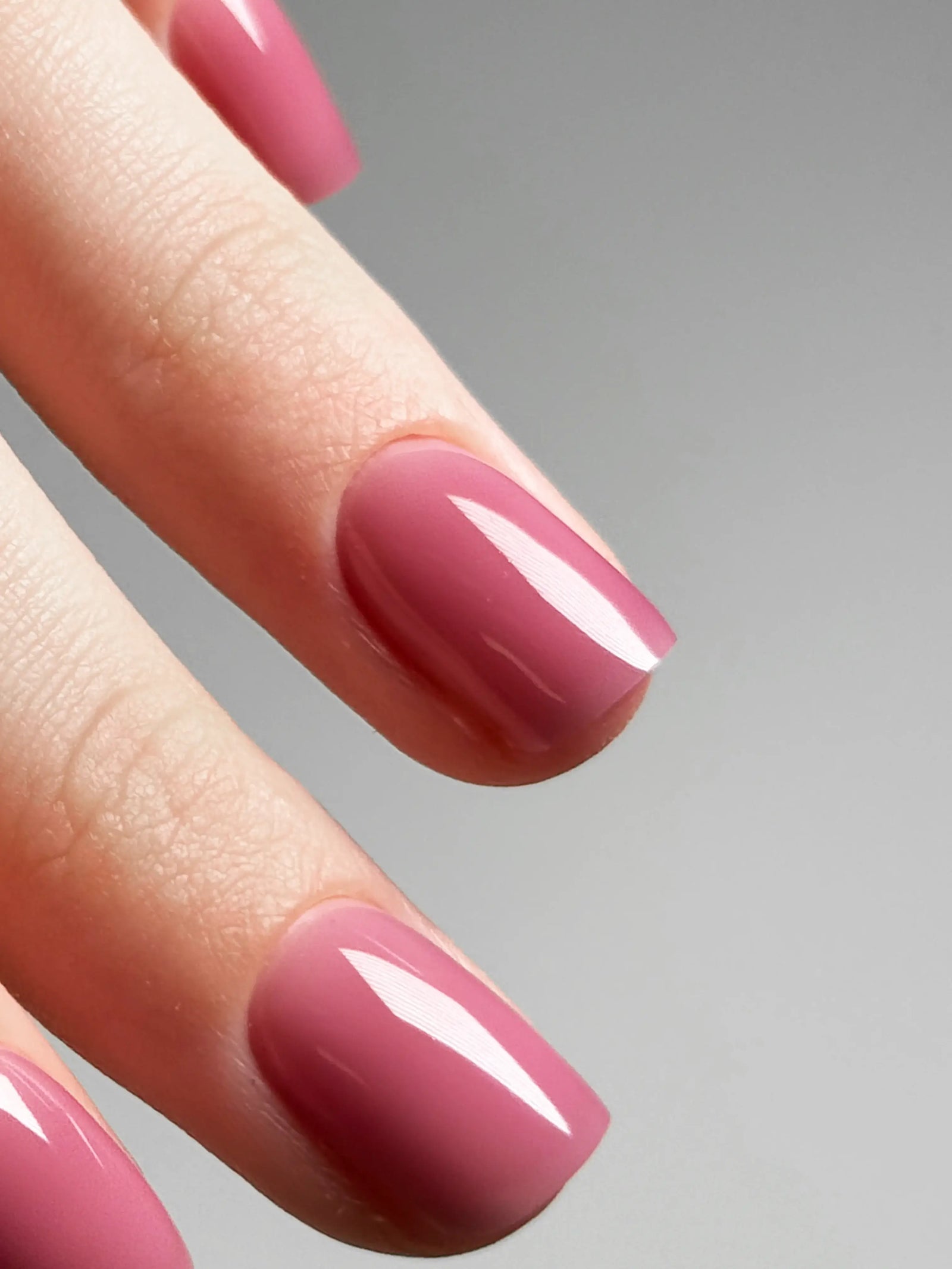 LUXIO by AKZENTZ - REVERIE