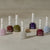 Bandi Pale Season Trend Set 2025 (8 PCS)