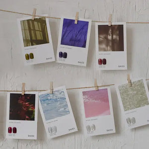 Bandi Pale Season Trend Set 2025 (8 PCS)