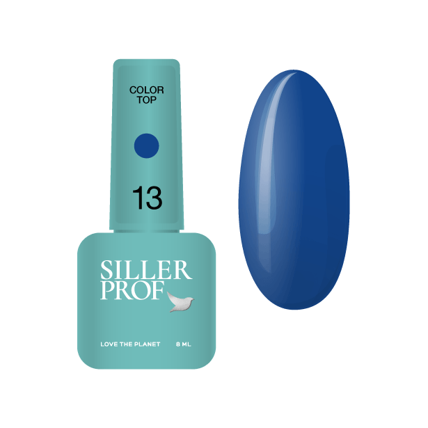 Siller Color Top #13