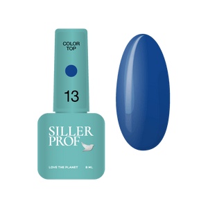 Siller Color Top #13