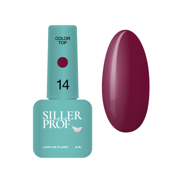 Siller Color Top #14