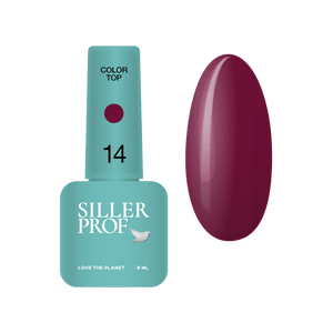 Siller Color Top #14