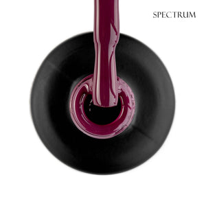 GLOSS Color Base