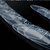 ShockMe! Dual Forms - Long Oval Ultra