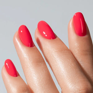 American Creator Color Gel - Chilli
